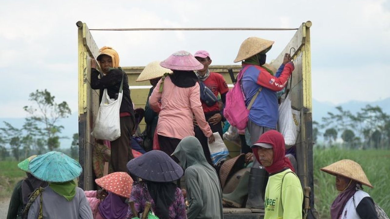 PT Sinergi Gula Nusantara (SGN) melalui PG Glenmore berkontribusi besar terhadap Pendapatan Asli Daerah (PAD) Banyuwangi sebesar Rp750 juta pada tahun 2024, sekaligus mendorong perekonomian lokal.