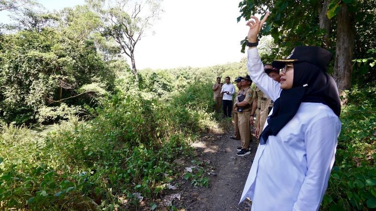 Pemkab Banyuwangi berencana mengembangkan sport tourism dengan jalur trekking eksotis menuju Waduk Bajulmati di Taman Nasional Baluran, menawarkan pengalaman alam yang unik.