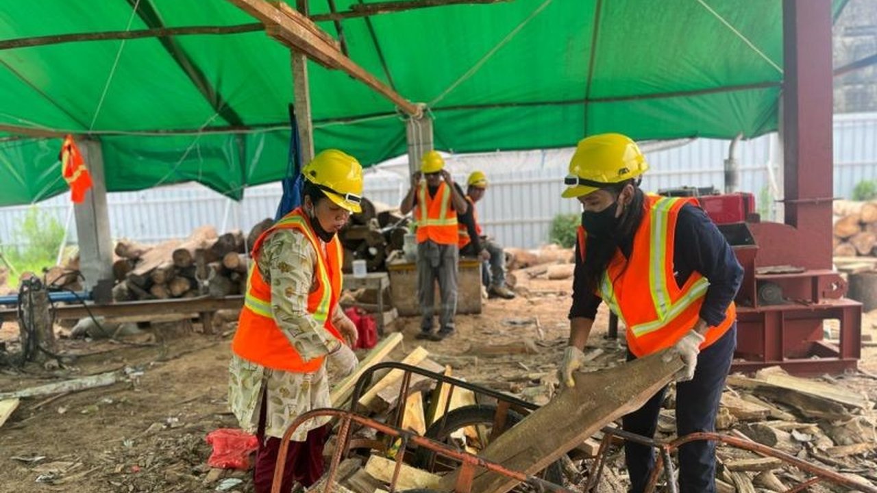 Program cofiring biomassa di PLTU PLN Group di Kalimantan Barat meningkatkan kesejahteraan warga sekitar melalui penyerapan tenaga kerja dan pemanfaatan limbah kayu karet.