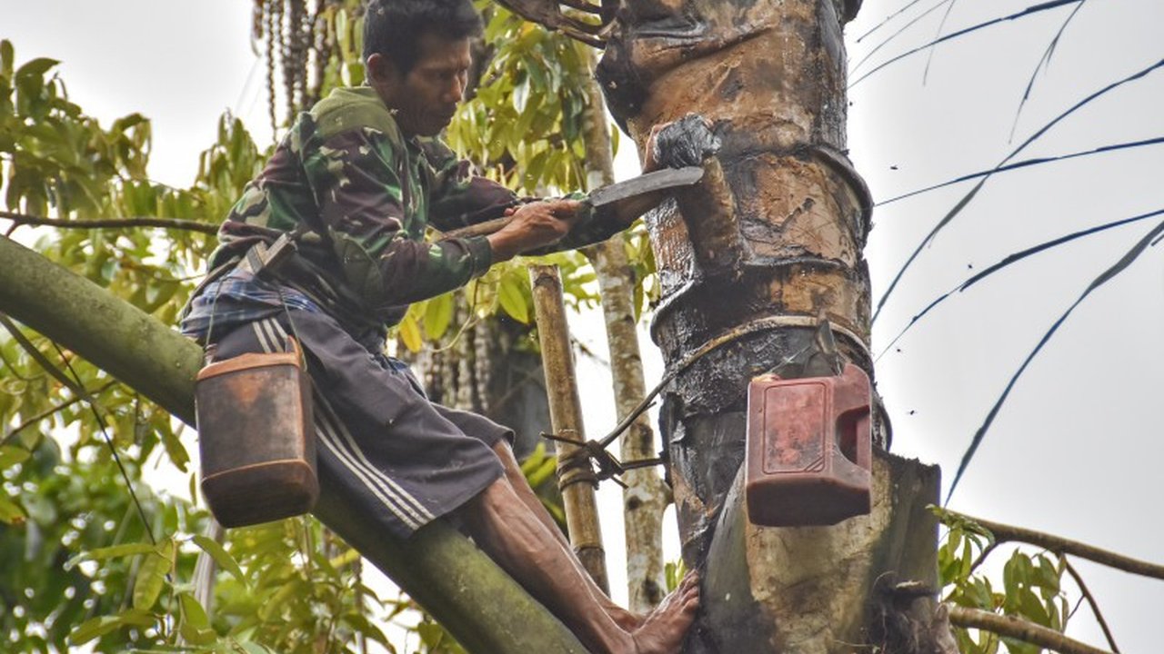 Universitas Mataram berkomitmen mendukung hilirisasi komoditas aren di NTB dengan mengembangkan teknologi sederhana dan ramah lingkungan untuk meningkatkan nilai tambah produk turunan aren.