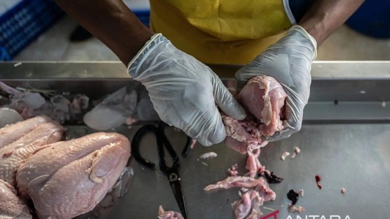 Badan Pangan Nasional (Bapanas) merilis update harga pangan terbaru, harga daging ayam Rp34.663/kg, sementara cabai rawit turun harga menjadi Rp56.210/kg.