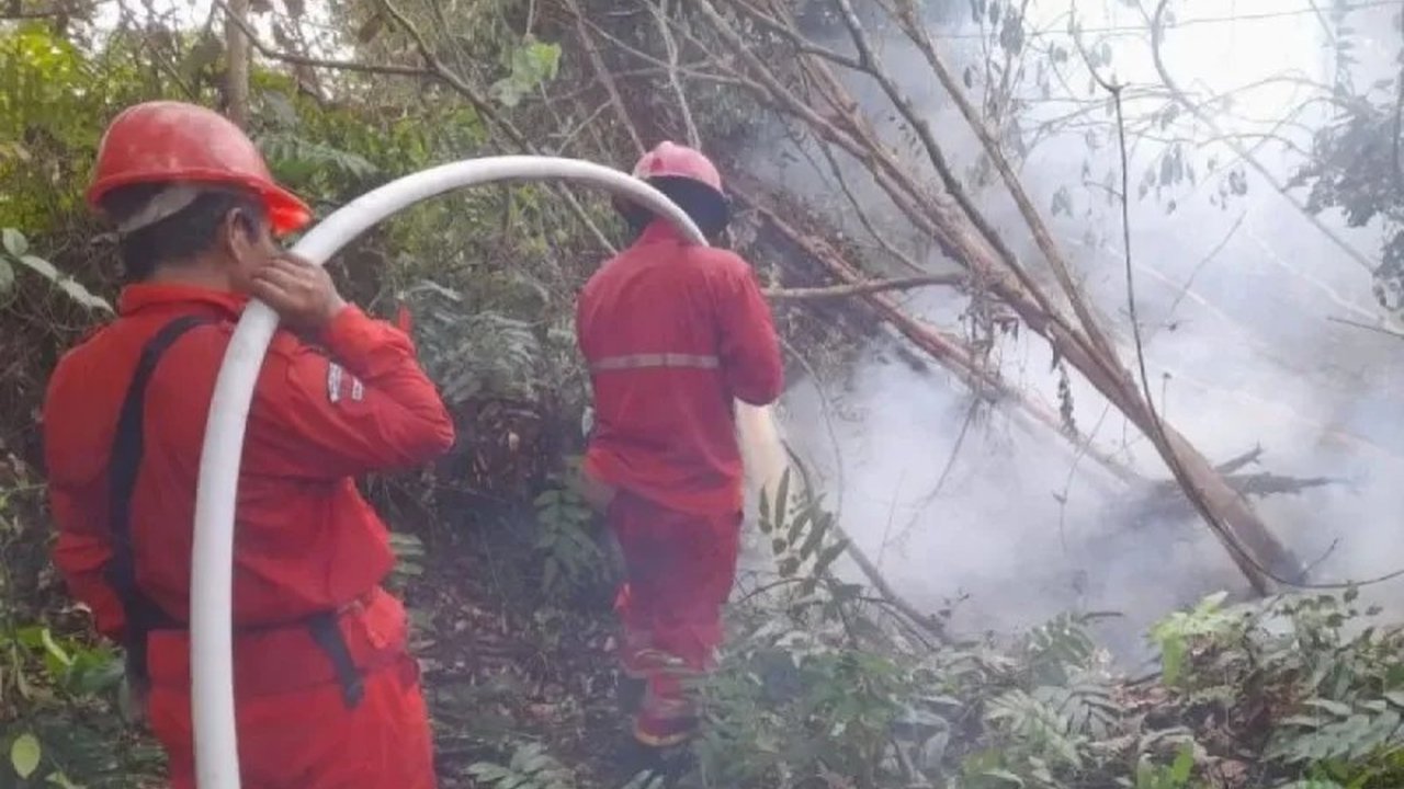 BPBD Sumsel: Perusahaan Perkebunan Harus Siaga Hadapi Karhutla