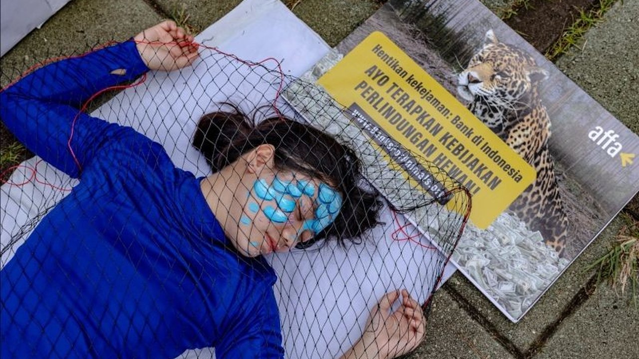 Animal Friends Jogja dan Sinergia Animal International meluncurkan kampanye Act for Farmed Animals untuk mendorong lembaga keuangan Indonesia menghentikan pendanaan praktik yang merugikan hewan dan lingkungan.