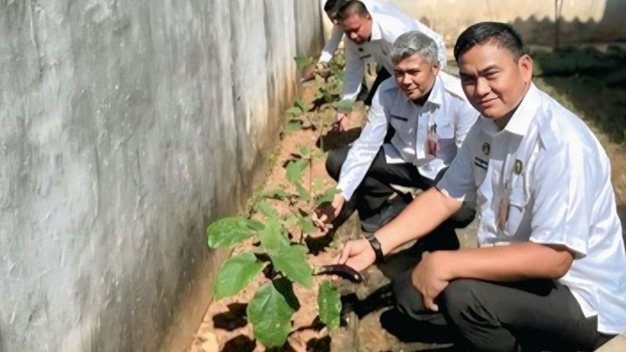Rutan Baturaja sukses memberdayakan warga binaan melalui program bercocok tanam, menghasilkan panen raya 10 kg terong dan berkontribusi pada ketahanan pangan nasional.