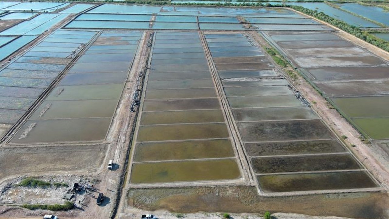 Kementerian Kelautan dan Perikanan (KKP) menargetkan Nusa Tenggara Barat (NTB) sebagai sentra produksi garam nasional untuk mencapai swasembada garam pada 2027, didukung luas lahan dan komitmen pemerintah daerah.