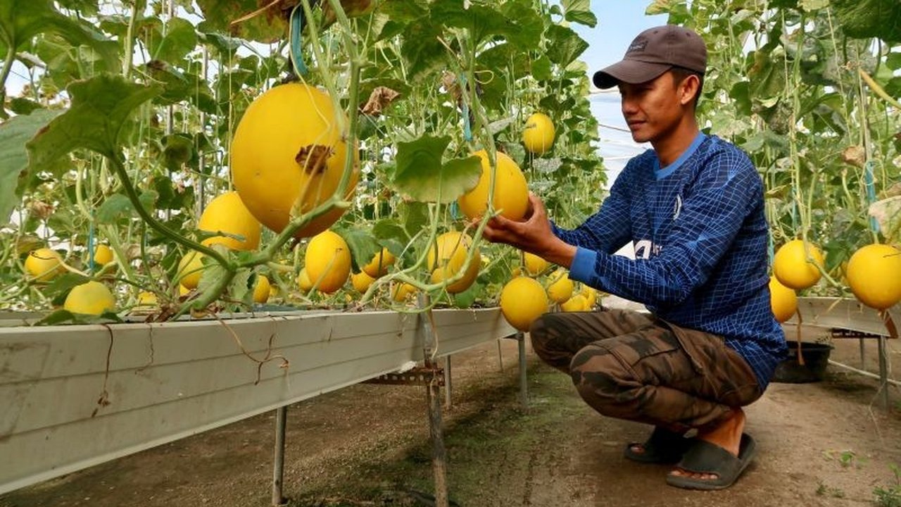 Lombok Barat Optimalkan 30 Desa Wisata Unggulan, Raih Prestasi Nasional