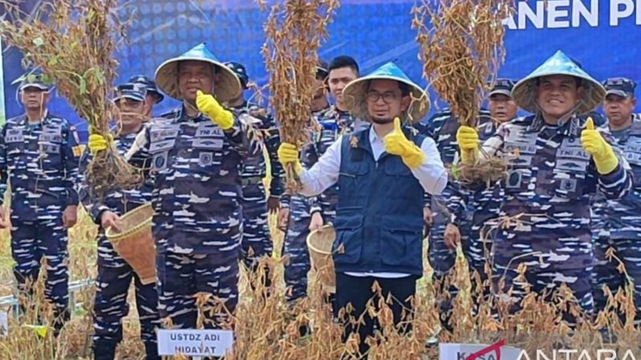 TNI AL berhasil panen raya kedelai varietas unggul Migo AL 1-89 di Banten,  berpotensi mengurangi ketergantungan impor dan mendorong swasembada pangan nasional.