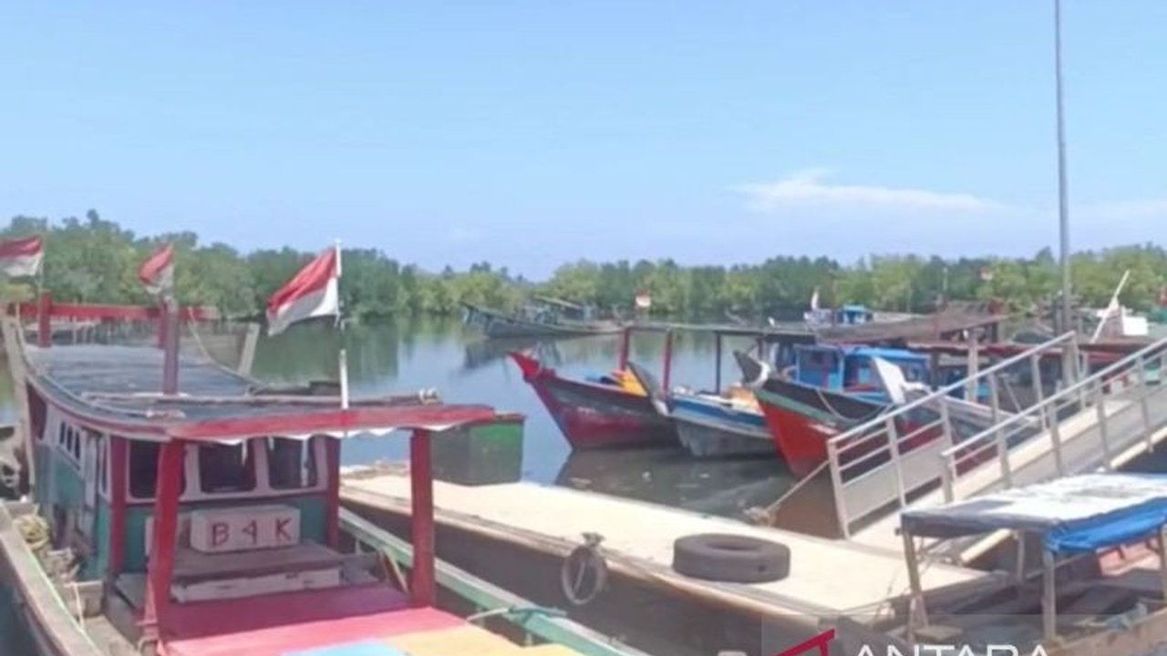 Pemerintah Kota Bengkulu mengimbau nelayan untuk berhenti menangkap benih lobster ilegal dan menawarkan bantuan perikanan senilai Rp18 miliar untuk mendukung nelayan lokal.