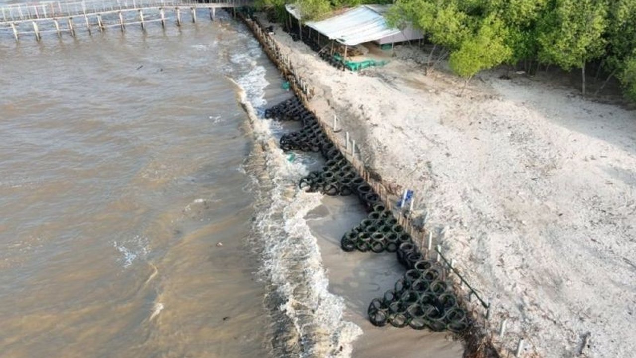 PT Pertamina Hulu Energi OSES perkenalkan appostraps, inovasi pemecah gelombang dari ban bekas, untuk mencegah abrasi dan mendukung pertumbuhan mangrove di pesisir Lampung.