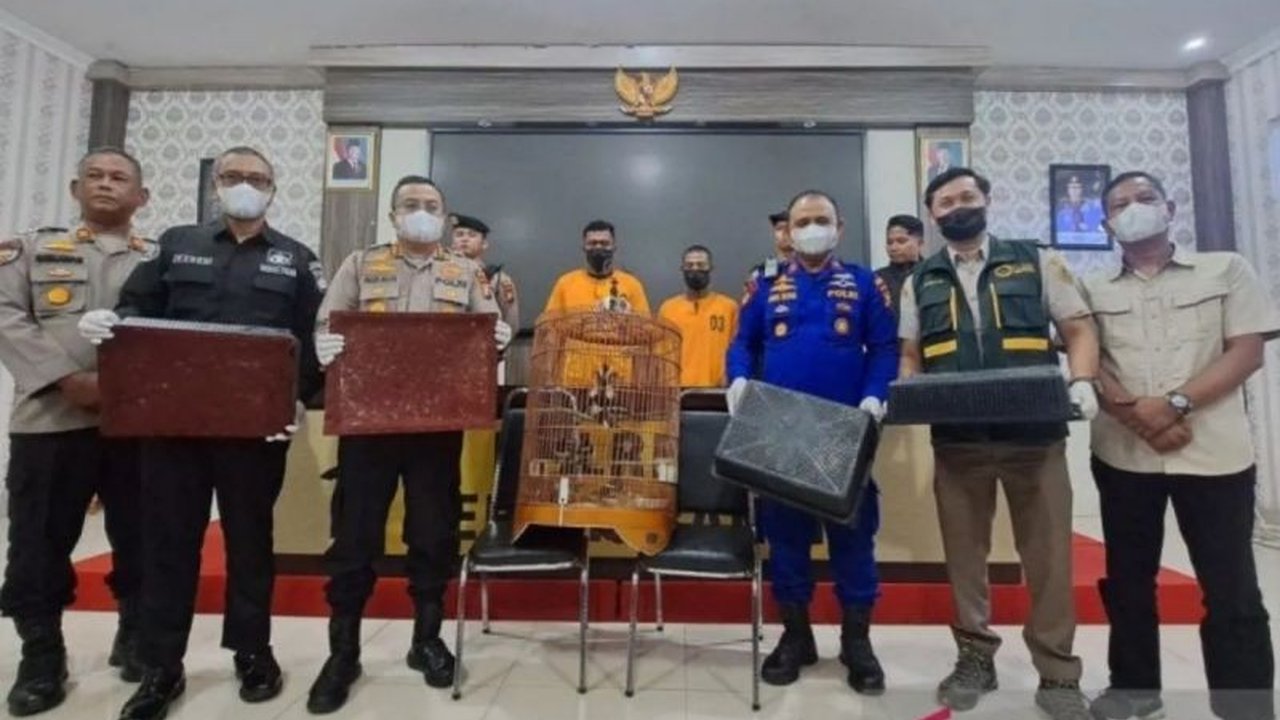 Kepolisian Resort Kepulauan Meranti menggagalkan penyelundupan 1.680 burung Kacer dari Malaysia yang hendak dibawa ke Siak, Riau; dua tersangka ditangkap dan tiga lainnya masuk DPO.