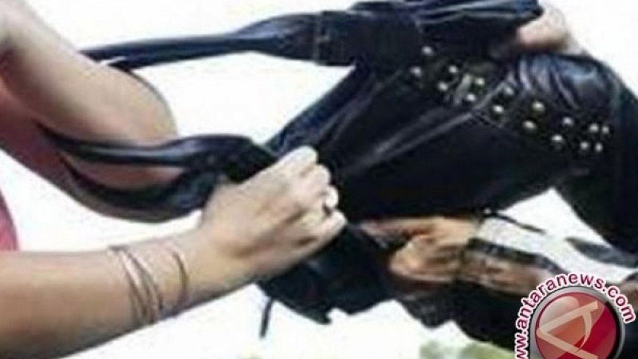 Dua pelaku jambret, ARR (29) dan AD (26), ditangkap polisi di Jakarta Utara setelah aksi mereka viral di media sosial; keduanya dijerat pasal 363 KUHP.