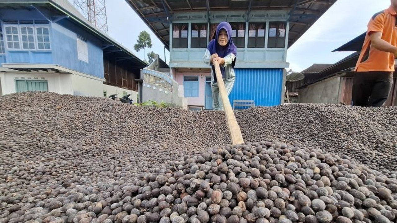 Pemerintah Provinsi Lampung mendorong pembentukan Koperasi Merah Putih di 2.651 desa sebagai wadah pengembangan ekonomi kerakyatan dan pengelolaan potensi unggulan desa.