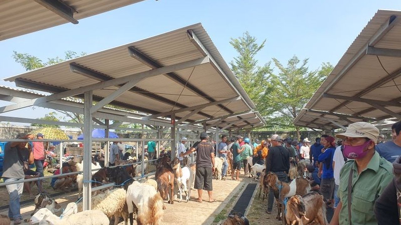 Dinas Peternakan dan Kesehatan Hewan (Disnakeswan) Tulungagung memantau kesehatan hewan kurban, memastikan ketersediaan dan kelayakan hewan untuk Idul Adha 1446 H.