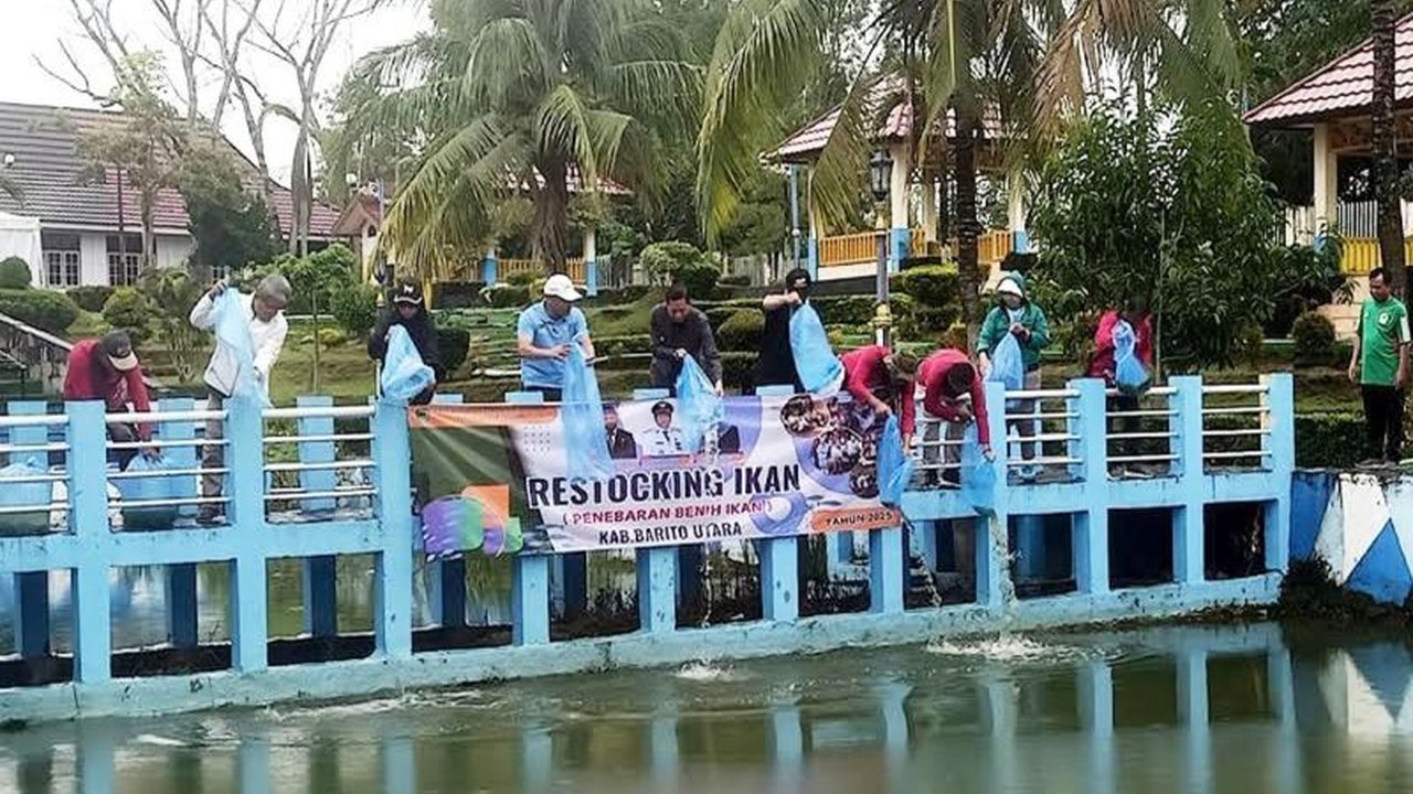 Pemkab Barito Utara Restocking 13.000 Bibit Ikan di Kolam Kantor Bupati