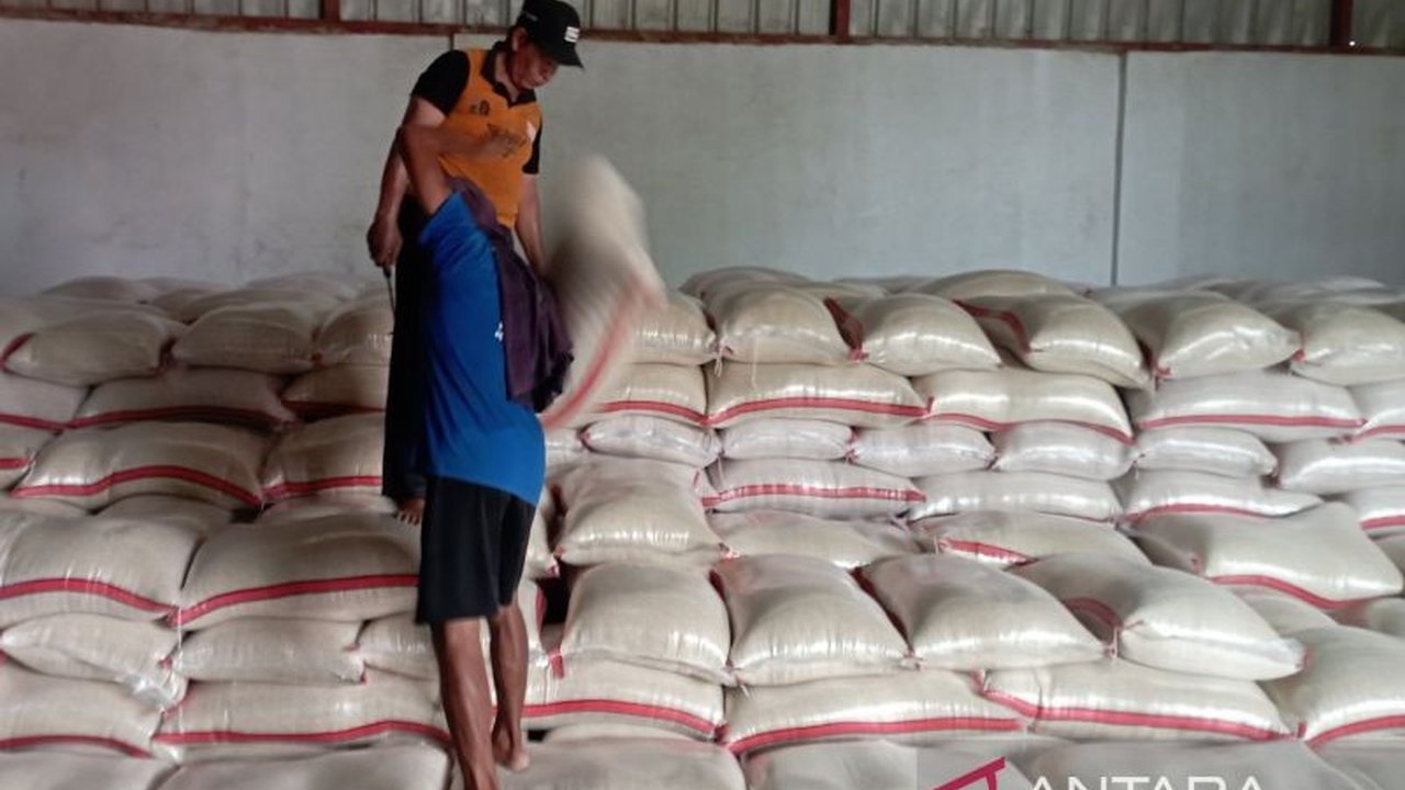 Bulog Indramayu Capai 75 Persen Target Serapan Gabah dan Beras