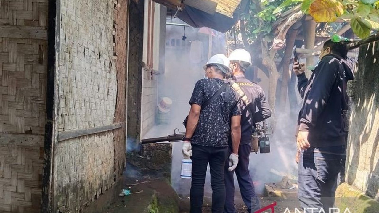Dinas Kesehatan Cianjur melaporkan 29 warga Desa Sukasirna terjangkit chikungunya, tiga dirawat di rumah sakit, dan upaya penanggulangan penyakit tersebut tengah dilakukan.