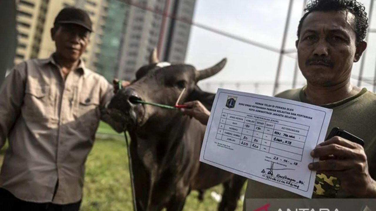 Suku Dinas KPKP Jakarta Selatan memberikan vitamin pada hewan kurban sakit untuk menjaga kualitas daging dan memastikan layak konsumsi sesuai syariat Islam, serta mengimbau pemisahan hewan sakit dan sehat.