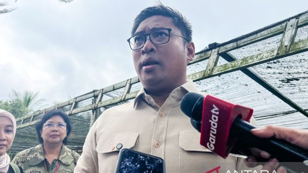 Skema Filial: Solusi Atasi Gudang Bulog Penuh Saat Panen Raya