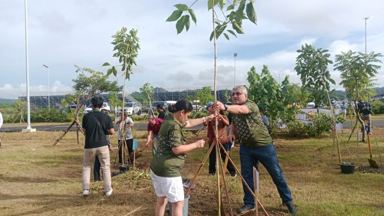 Duta Besar dan diplomat asing dari 28 negara menanam pohon tabebuya di Sirkuit Mandalika, NTB, untuk mendukung pariwisata hijau dan menarik investasi.