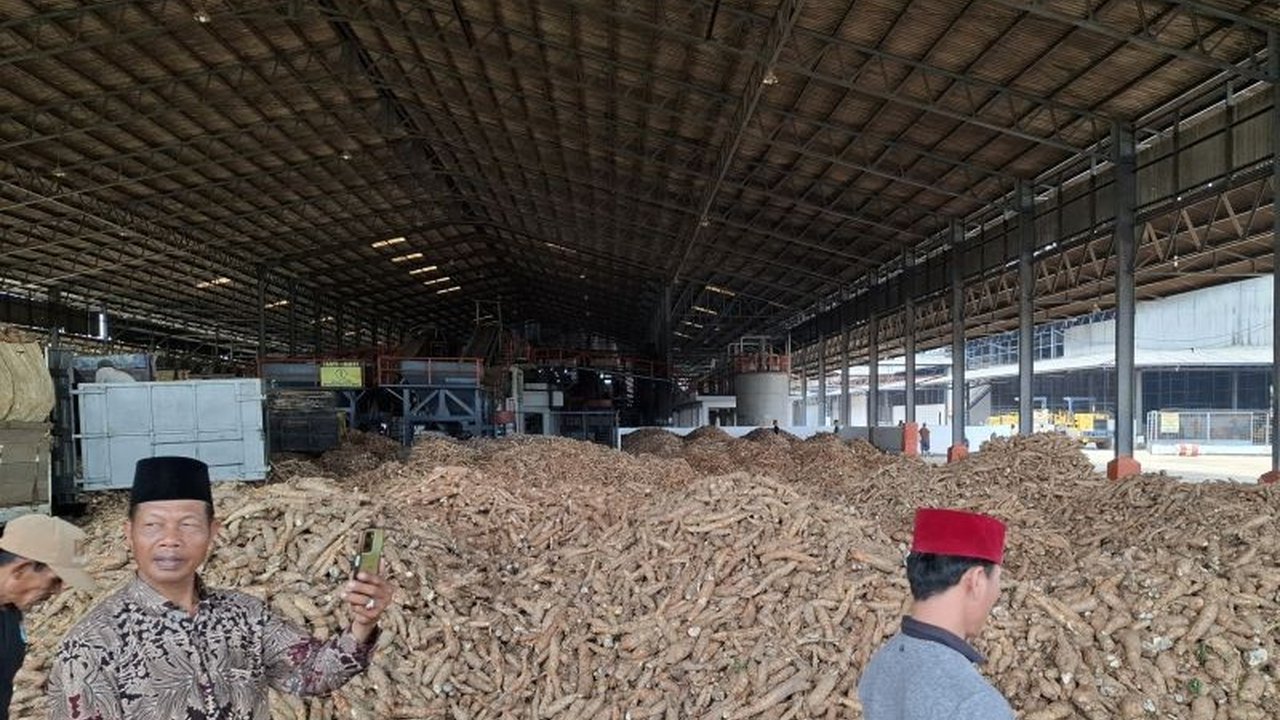 Pemprov Lampung menyiapkan Perda dan Pergub untuk mengatur tataniaga singkong, melindungi petani dari gejolak harga dan impor, serta menetapkan harga dasar Rp1.350 per kg.