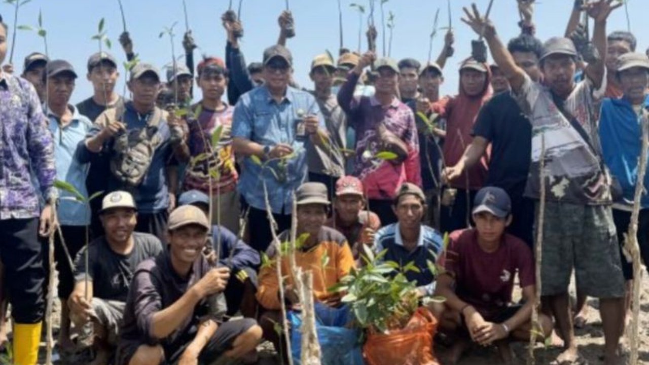 Dinas Kelautan dan Perikanan Kalsel menanam 113.000 bibit mangrove di Tanah Laut dan Tanah Bumbu untuk mencegah abrasi dan menjaga ekosistem pesisir.