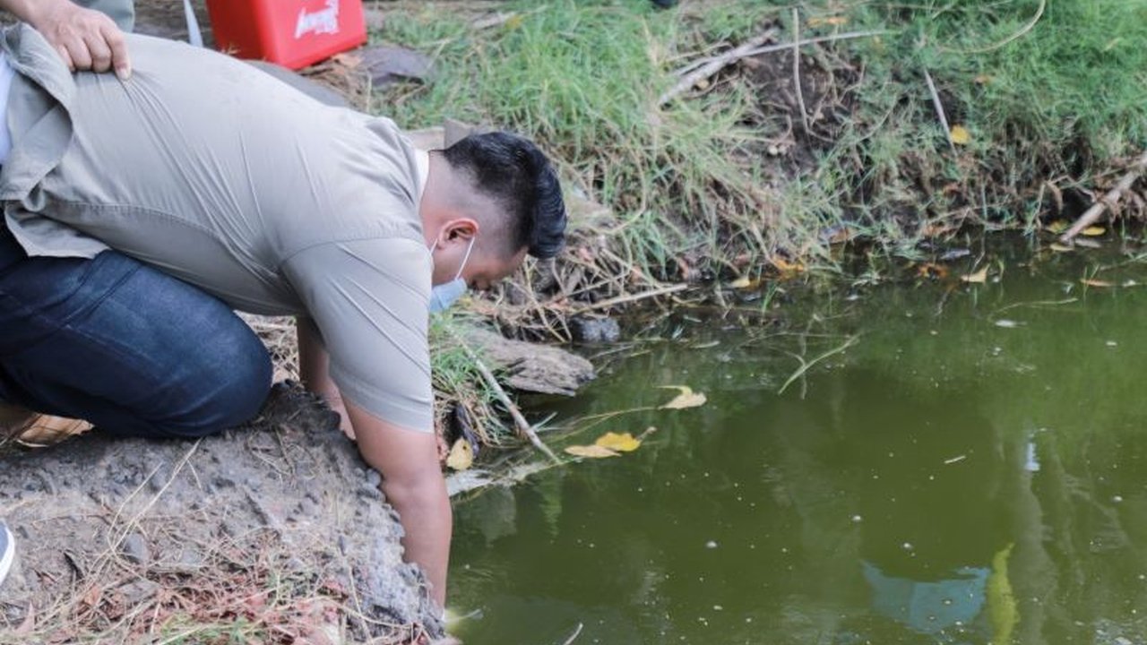Pemerintah Kabupaten Jember mengambil sampel air untuk investigasi dugaan pencemaran limbah perusahaan di Desa Mayangan, yang telah dilaporkan warga dan berdampak pada lahan pertanian seluas 800 hektare.