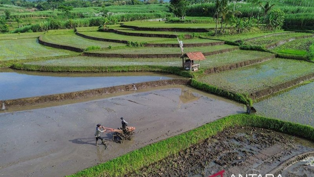 Konsep kesehatan tanah berkembang pesat, melampaui definisi kesuburan semata dan berfokus pada fungsi ekologis tanah untuk keberlanjutan ekosistem.