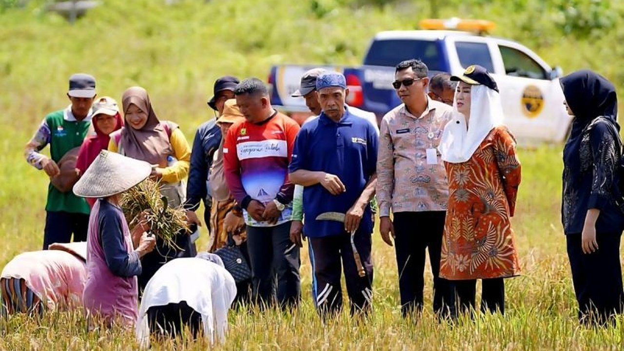 Pemkab Natuna menetapkan 342,63 hektare lahan sebagai lahan pertanian pangan berkelanjutan untuk menjaga ketahanan pangan dan meningkatkan kesejahteraan petani.