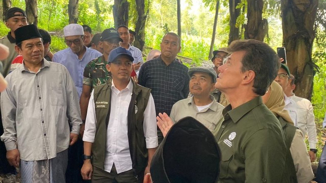 Menteri Kehutanan meninjau lahan aren di Garut, Jawa Barat, untuk mendukung produksi bioetanol dan mencapai swasembada energi terbarukan nasional sesuai arahan Presiden Prabowo Subianto.
