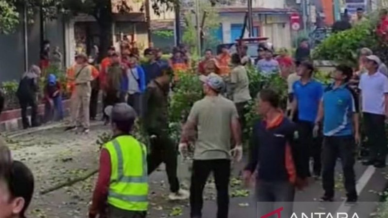 Dinas Lingkungan Hidup Cianjur bersama Dishub gencar memangkas pohon rawan tumbang di jalan protokol untuk mencegah kecelakaan dan gangguan lalu lintas selama musim hujan.