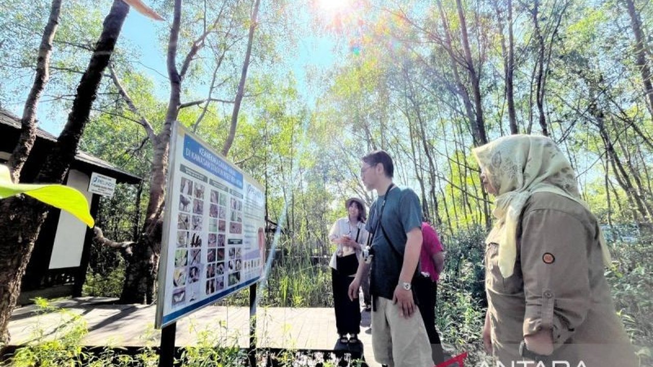 Peneliti dari Utsunomiya University, Jepang, terkesan dengan upaya konservasi bekantan di Pulau Curiak, Kalimantan Selatan, dan berharap adanya kolaborasi riset lebih lanjut.