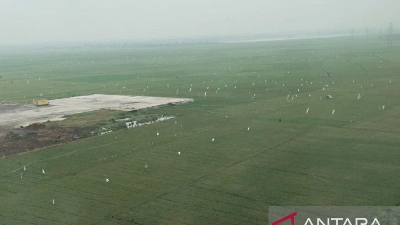 Anggota DPR Ateng Sutisna khawatir dengan berkurangnya lahan pertanian dan hutan di Karawang yang mengancam ketahanan pangan dan lingkungan.