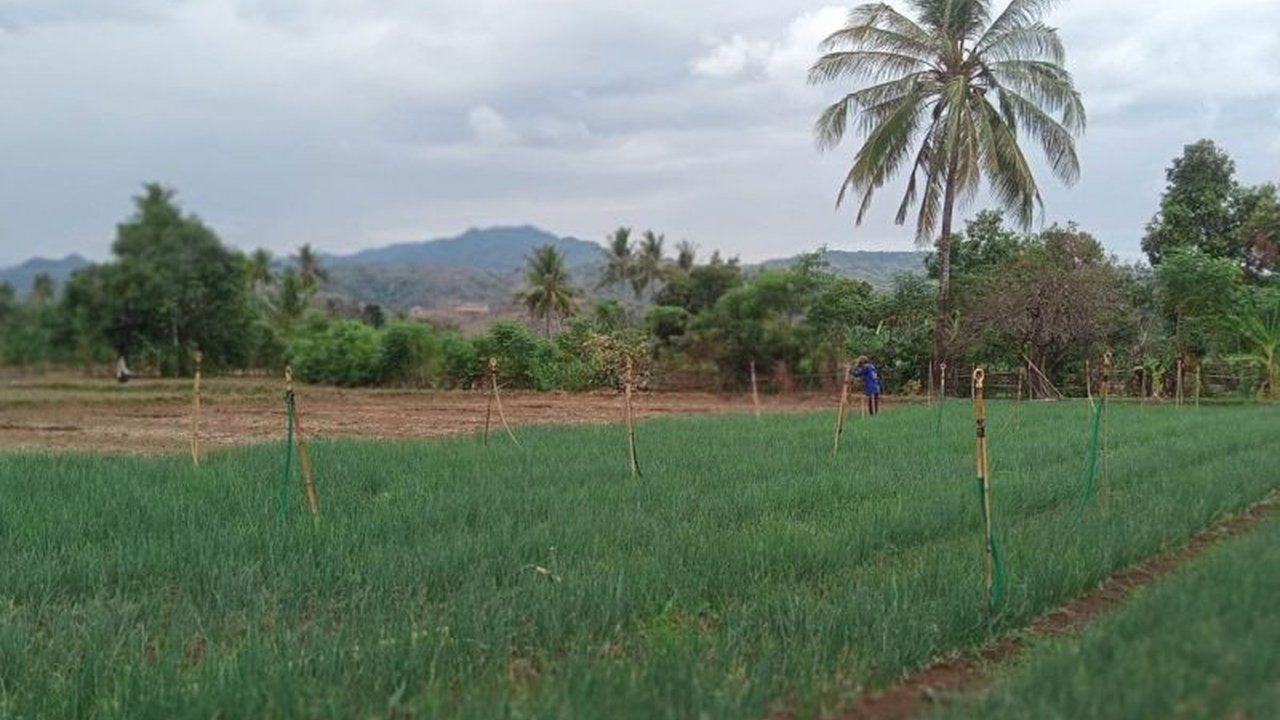 Kekayaan negara di Sulawesi Selatan mencapai Rp222,15 triliun hingga Maret 2025, didominasi aset tanah senilai Rp156,64 triliun, disusul bangunan dan infrastruktur lainnya.