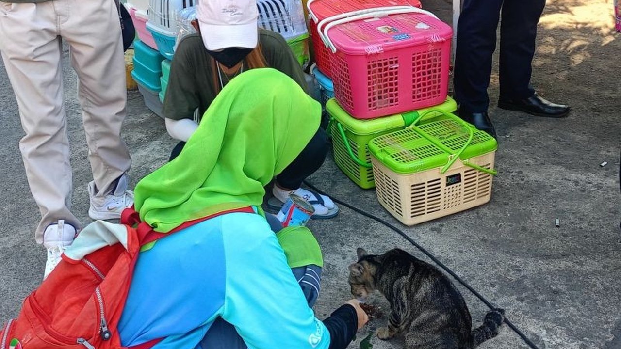 Pemerintah Kota Jakarta Timur telah melakukan sterilisasi terhadap 328 ekor kucing hingga Mei 2025 untuk mencegah rabies, dengan target 2000 ekor kucing pada tahun ini.
