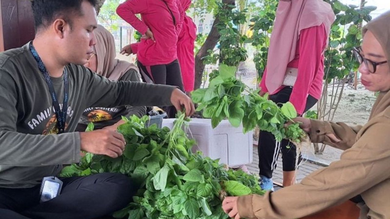 Kepulauan Seribu buktikan keterbatasan lahan bukan halangan untuk ketahanan pangan lewat pertanian hidroponik yang sukses panen bayam dan hasil dijual untuk operasional RPTRA.
