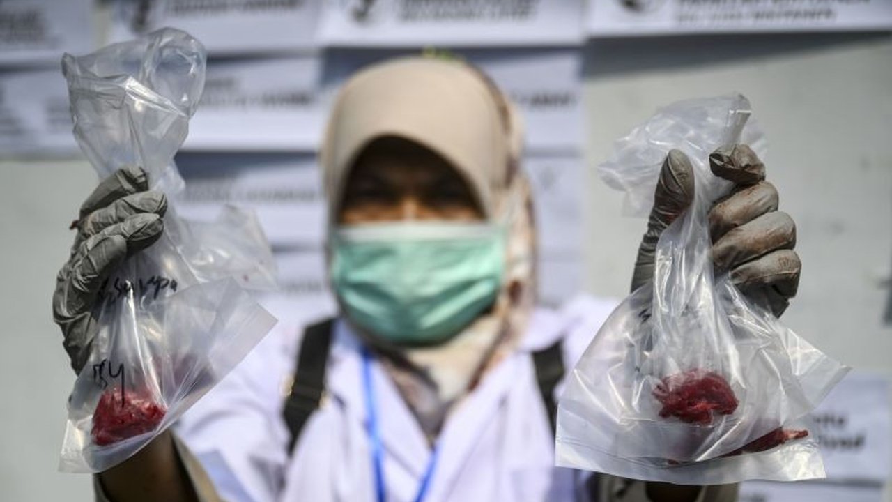 Pemeriksaan Hewan Kurban di Jakarta Timur: Dua Pekan Pengawasan Ketat Cegah PMK