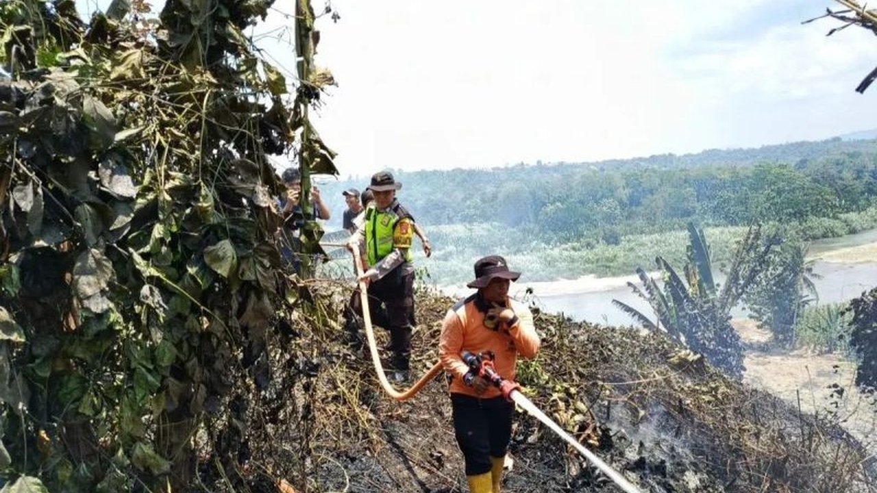 Kementerian Kehutanan memperingatkan tujuh kabupaten di Sumatera Selatan rawan karhutla selama kemarau panjang 2025, dengan upaya antisipasi yang diperkuat melalui patroli dan pembentukan Satgas.