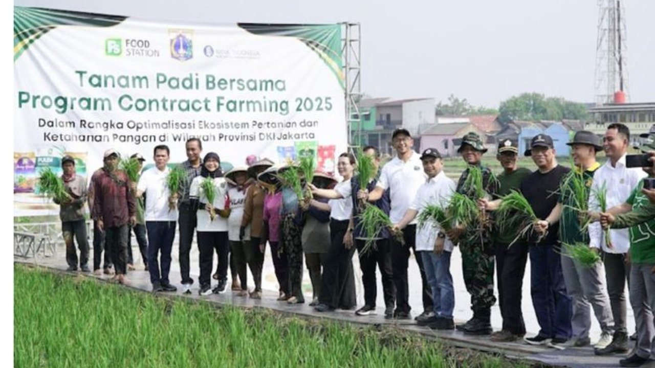 Pemprov DKI Jakarta menjalin kerja sama pertanian kontrak dengan Gapoktan Rorotan Jaya seluas 235 hektare untuk meningkatkan produktivitas pangan dan mewujudkan swasembada pangan di Jakarta.