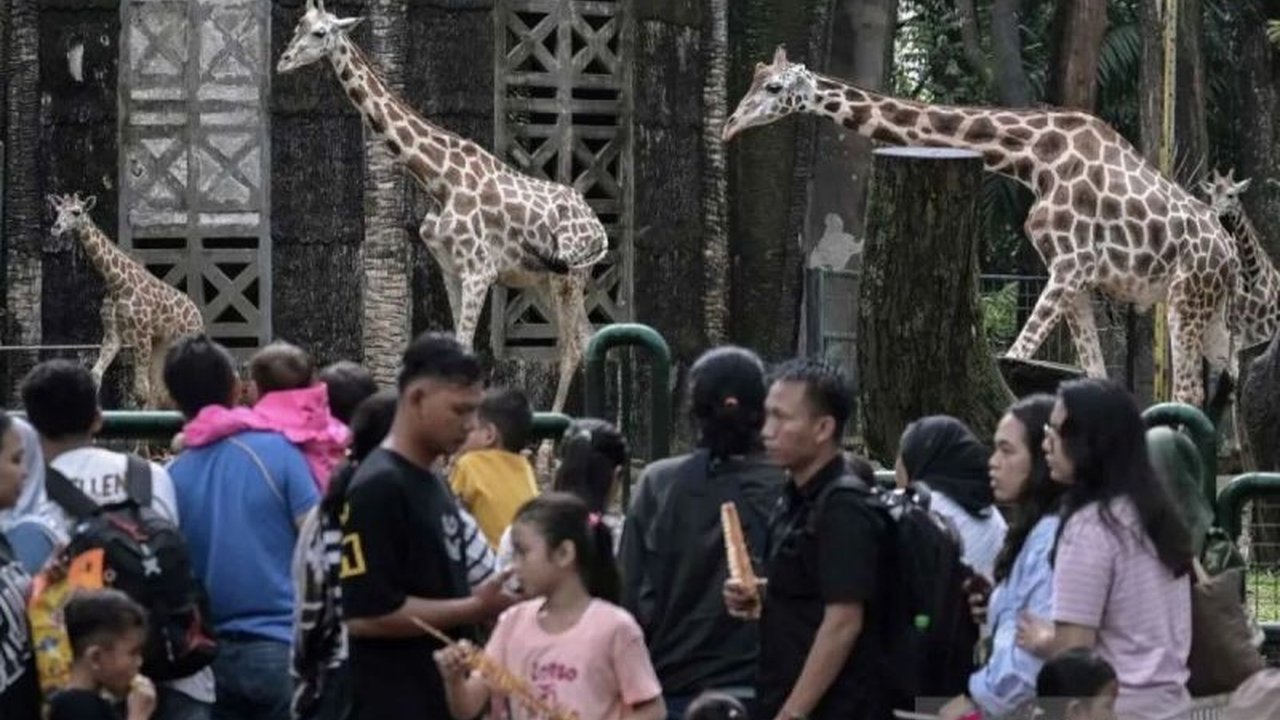 Puluhan ribu orang memadati Taman Margasatwa Ragunan pada libur Waisak 2569 BE, meningkat signifikan dibandingkan tahun-tahun sebelumnya.