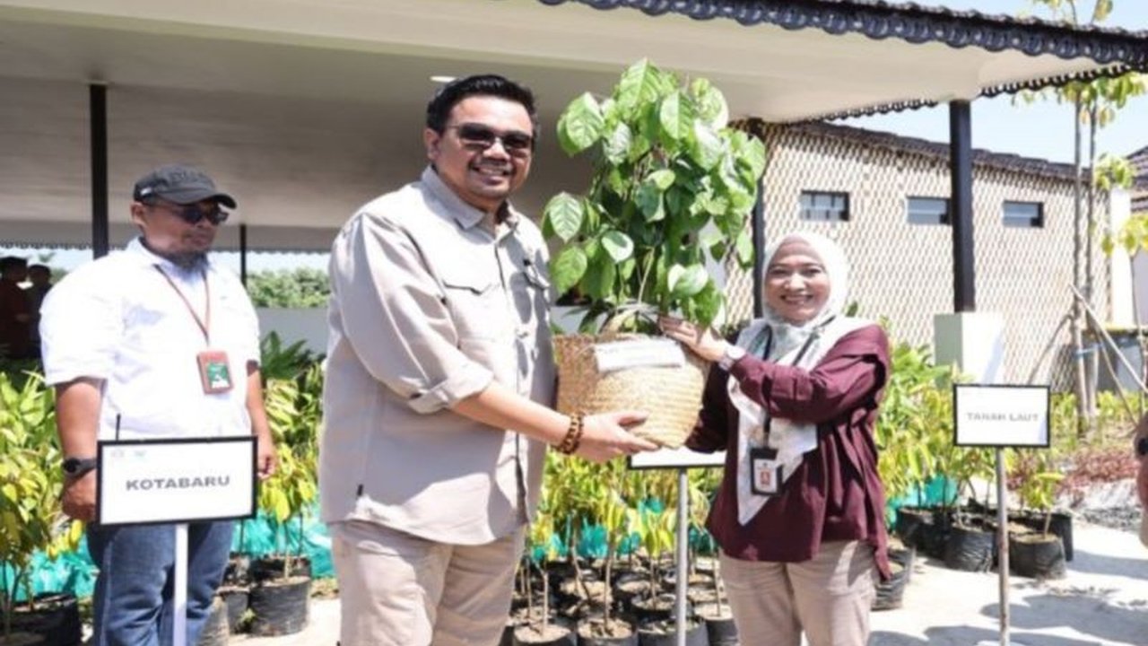 Pemerintah Kabupaten Tanah Bumbu menerima 500 bibit tanaman dari Kemenhut RI untuk mendukung program ketahanan pangan nasional, sejalan dengan visi pembangunan daerah.