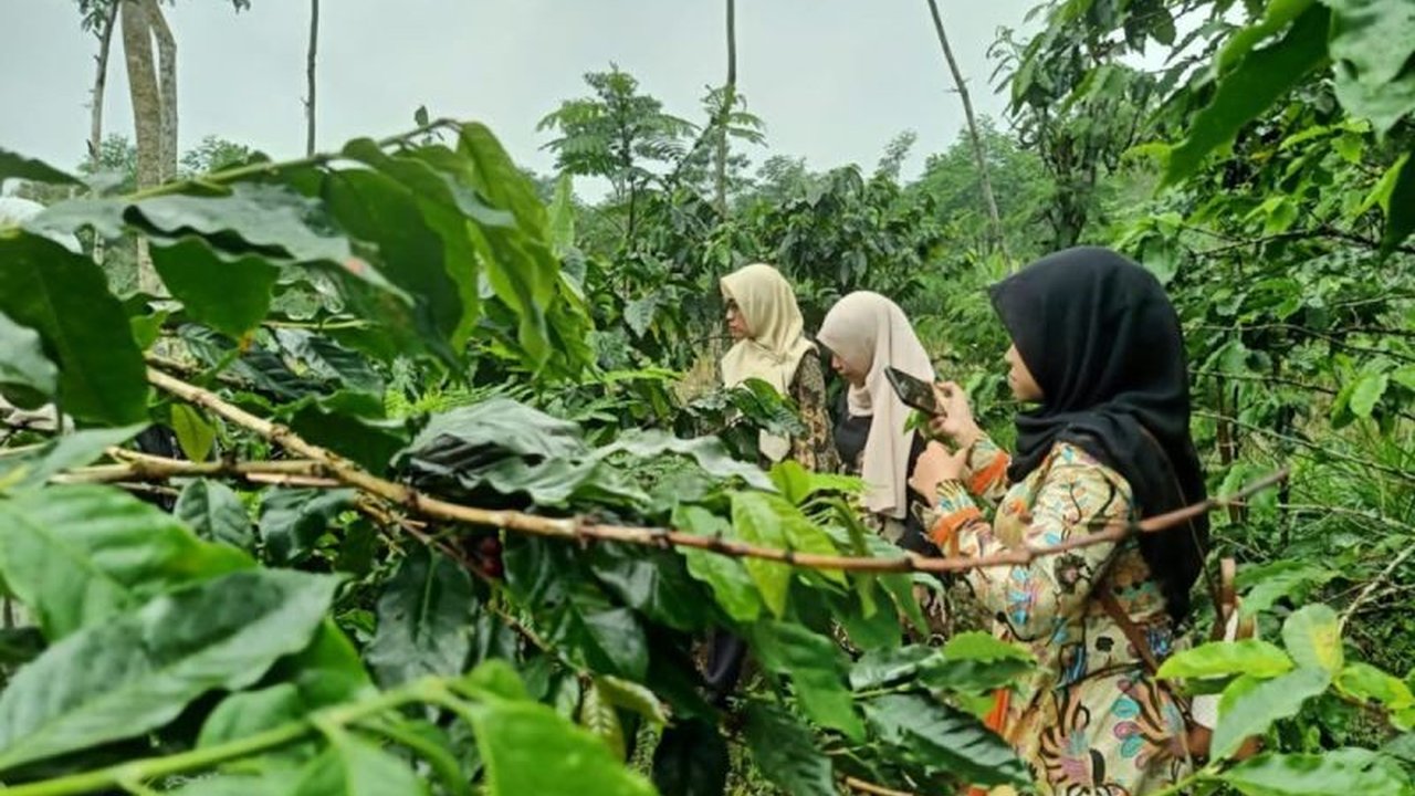 Pemkab Probolinggo Bentuk MPIG untuk Lindungi Kopi Arabika Lokal