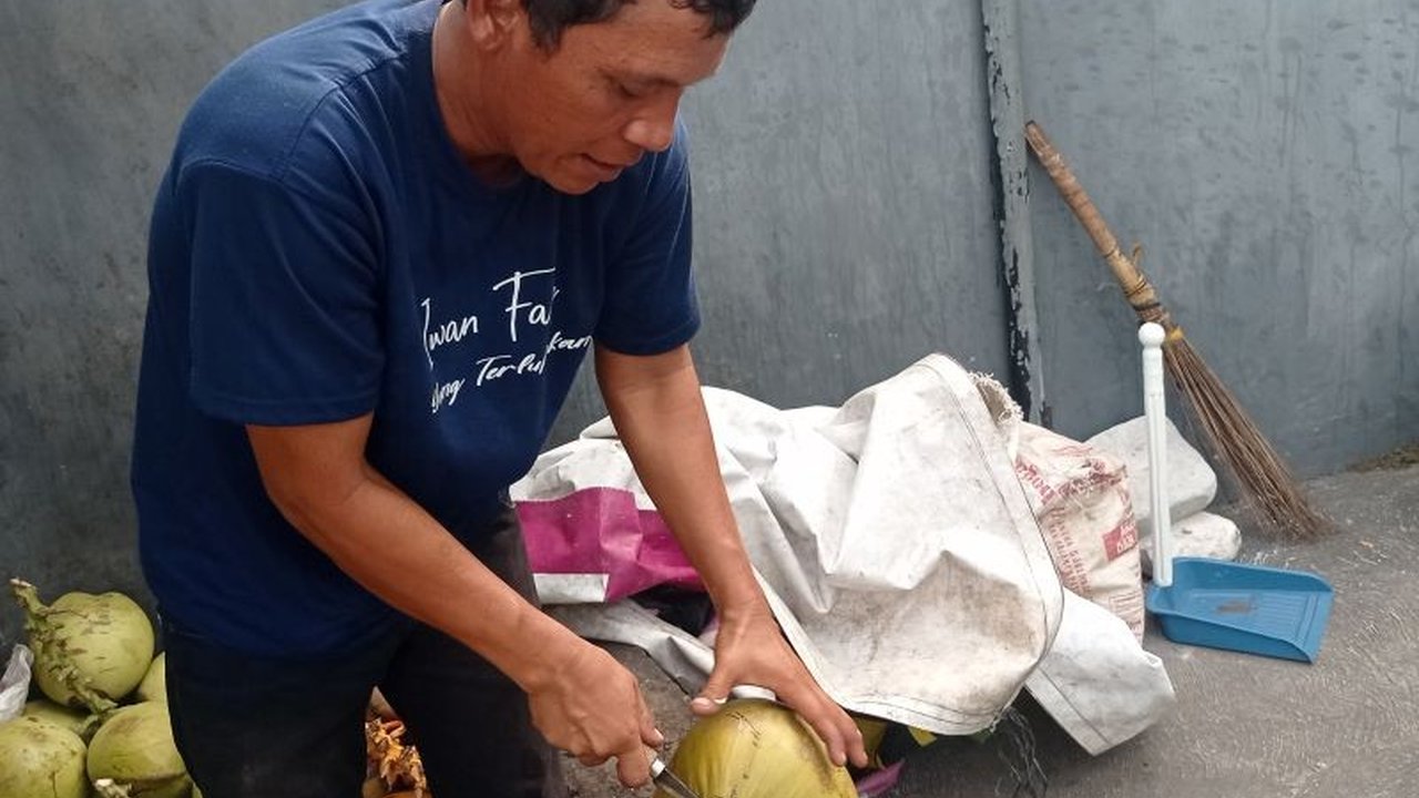 Pedagang kelapa muda di Rangkasbitung, Lebak, merasakan peningkatan omzet signifikan hingga Rp7 juta per hari selama musim kemarau karena tingginya permintaan konsumen.