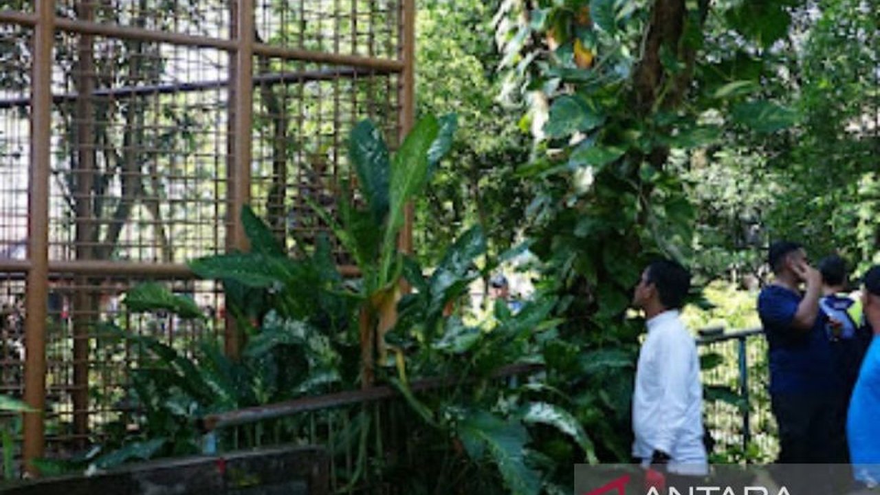 Wali Kota Banjarmasin, H. Muhammad Yamin, menemukan kondisi Kebun Binatang Jahri Saleh memprihatinkan dan menginstruksikan perbaikan segera untuk menjadikannya tempat rekreasi keluarga yang aman dan nyaman.