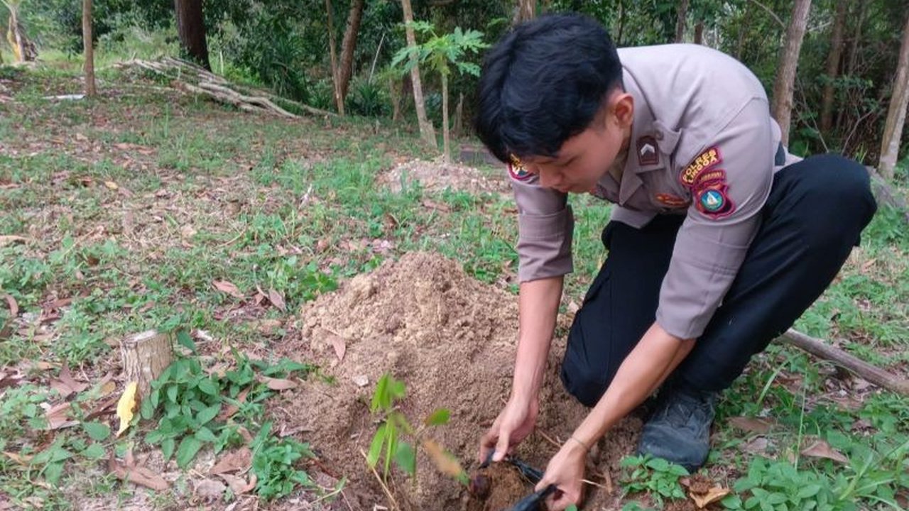 Kepolisian Resor Lingga, Kepulauan Riau, menanam 250 pohon jengkol untuk melestarikan lingkungan dan mengantisipasi dampak perubahan iklim, sekaligus mendorong partisipasi masyarakat dalam penghijauan.
