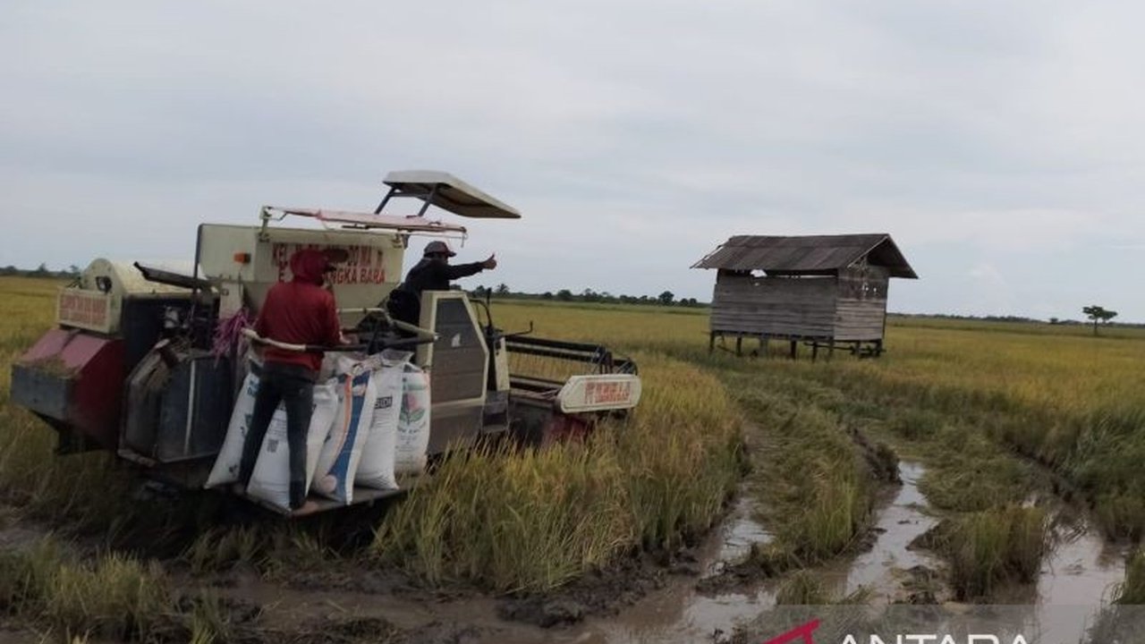 Bulog menyerap 4.473 ton gabah petani di Kabupaten Penajam Paser Utara dengan nilai Rp28 miliar hingga Mei 2025, memberikan dampak positif pada perekonomian petani setempat.