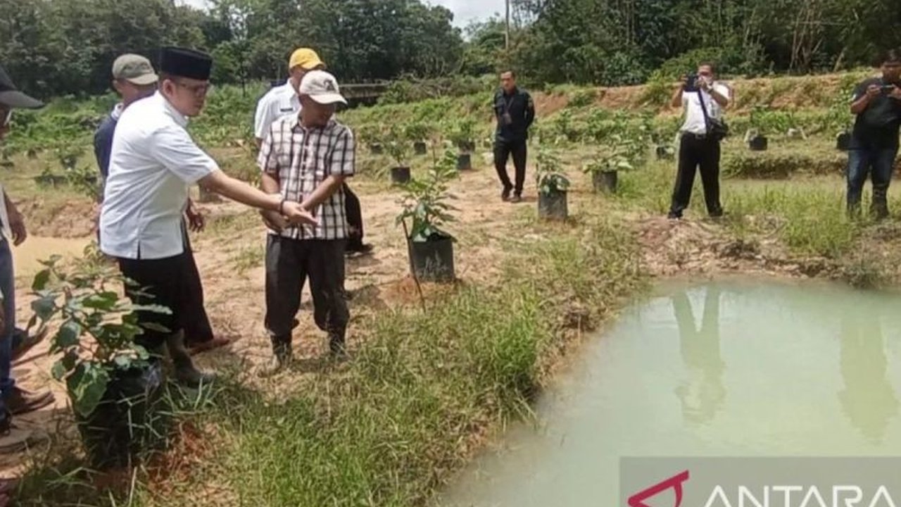 Desa Martajaya di OKU, Sumatera Selatan, sukses menjadi kampung budidaya ikan gabus dan lele, meningkatkan perekonomian warga dan mendukung program GSMP.
