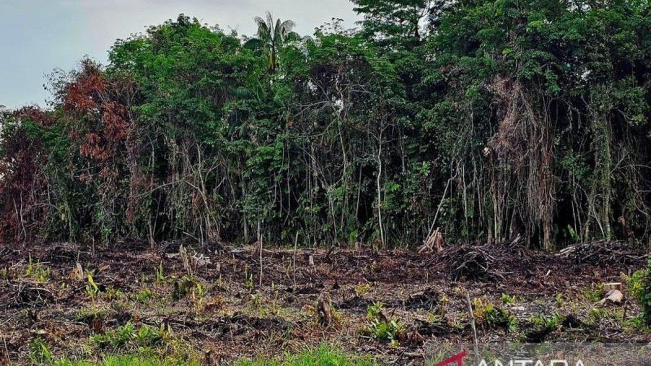 Pemerintah Kabupaten Natuna telah menyelesaikan pematangan lahan seluas 1,9 hektare untuk pembangunan rumah bagi warga terdampak penataan kawasan kumuh, menggunakan dana APBD 2025 senilai Rp180 juta.