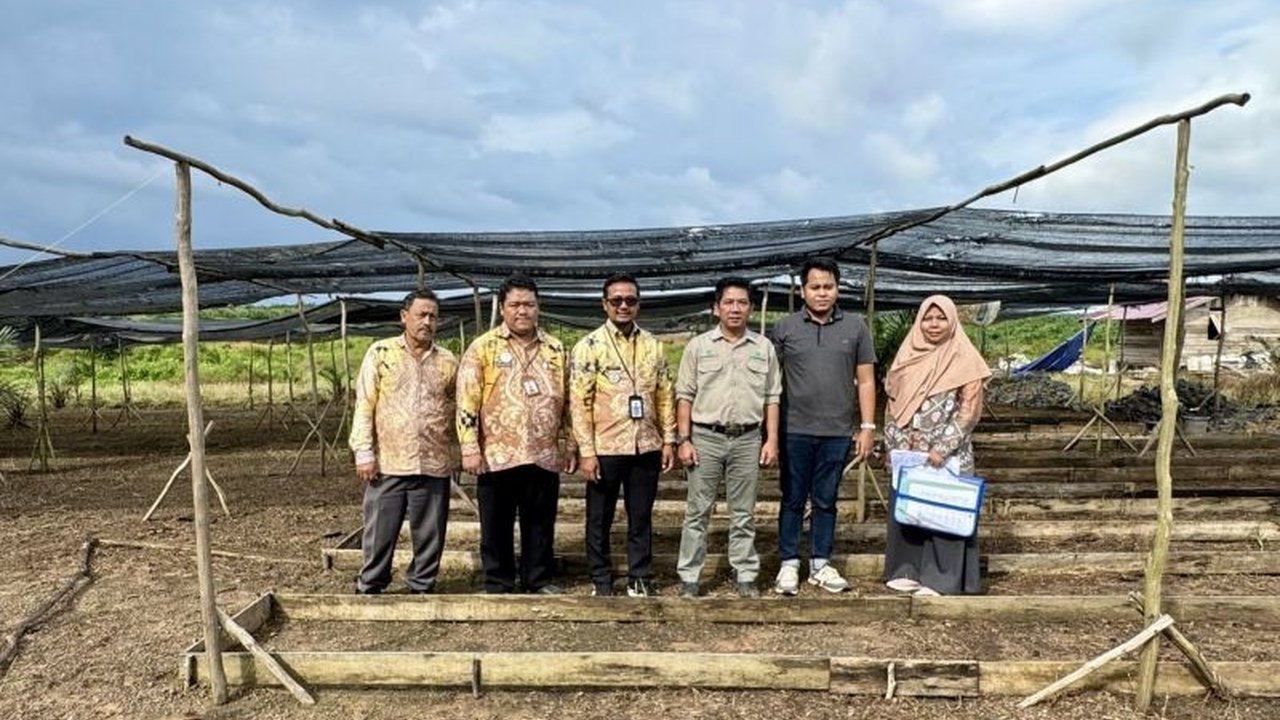 Pemerintah Kalimantan Selatan (Kalsel) menyediakan layanan rekomendasi izin usaha produksi benih kelapa sawit untuk menata pasar dan mencegah peredaran benih ilegal yang mengancam produktivitas dan kualitas minyak sawit.