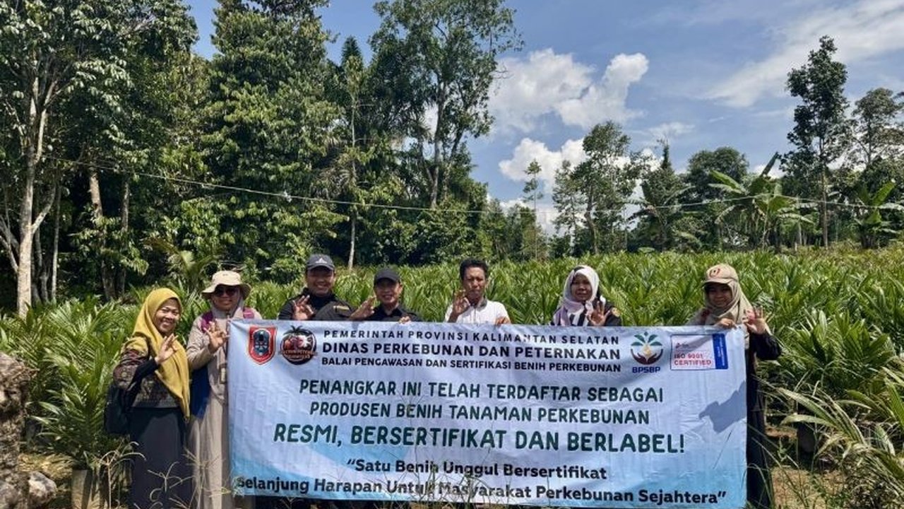 Dinas Peternakan dan Perkebunan Kalsel luncurkan sistem sertifikasi benih sawit daring via Google Form, kendati masih hadapi kendala adopsi teknologi oleh penangkar.