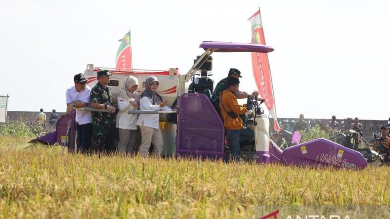 Kodam IV/Diponegoro dan Pemkot Pekalongan sukses panen padi biosalin di lahan bekas rob Kelurahan Degayu, menandai revitalisasi lahan tidak produktif selama lebih dari satu dekade.